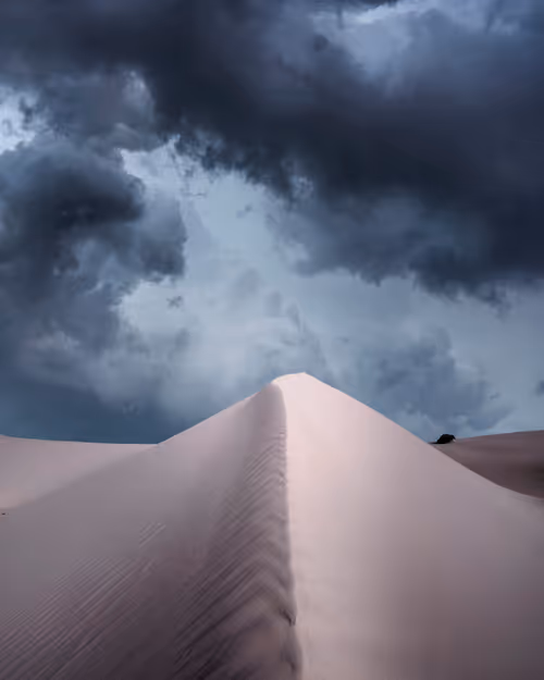 Item #5616953568499340907775711825497604278044637464082209410752742911028693565441 Media