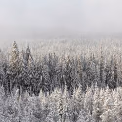 Whiteout | Aaron Reed Photography