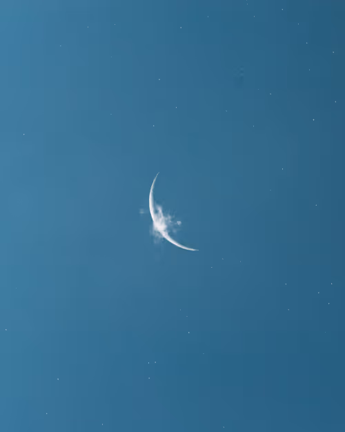 Item #9516099056367242152996622501750151802451978225621664057436231523724167217153 Media