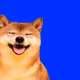 35132558306005666945989237054941300939245987658462459495312623047067148746753