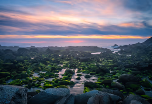 Item #80794342406768184056622106133175156020437575563417367911918444586229829730305 Media