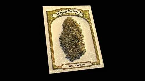 Item #97139780959510079794114301111225762161154784924767289716099000249721273974884 Media