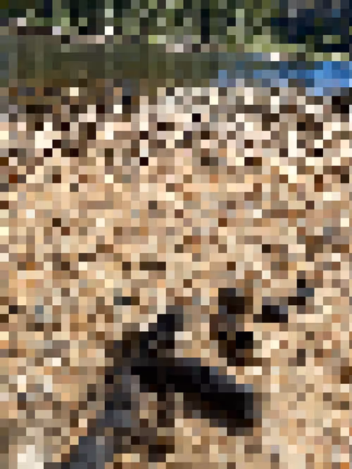 Item #2850415134272365380187775685678842410458265265709128331682257572246467903489 Media