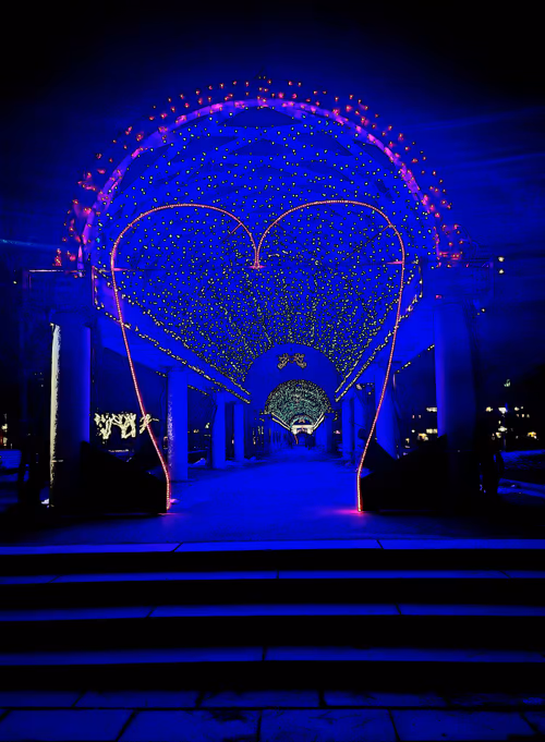 Item #88096187135023197502830601986588997816911014051700883464461199599313388306433 Media