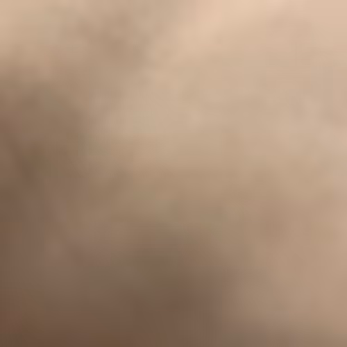 Untitled Collection #88846015