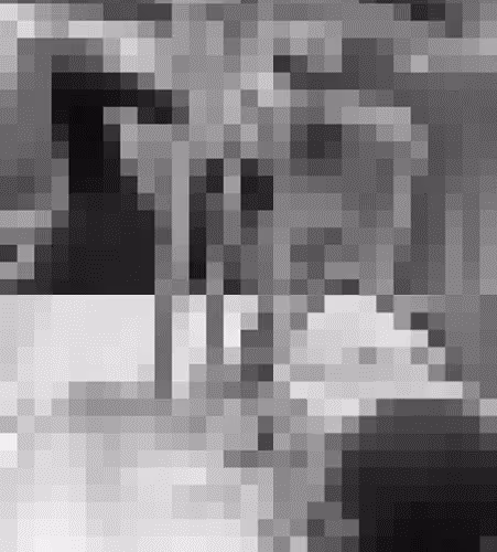 Another White