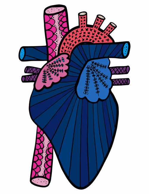 Item #28824502245252267217549902857601847351510039266873569823091148211806435016705 Media