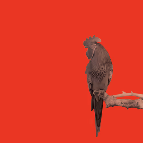 Item #30724973940313696272625563227310391301041139150256747801817741131846799851521 Media