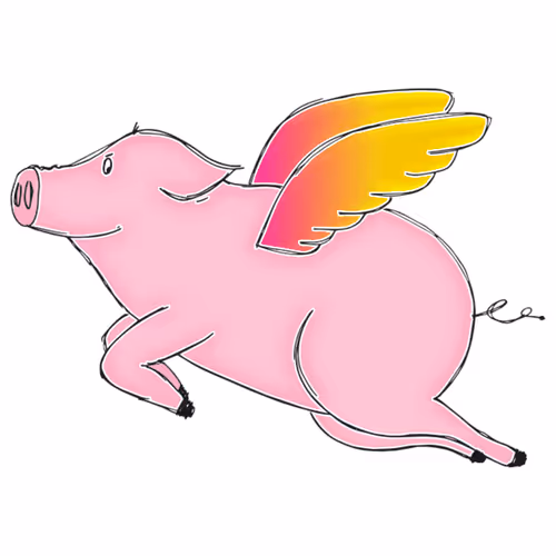 Flyingpiggiestest