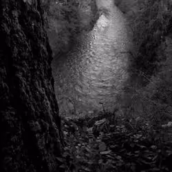 Cedar River