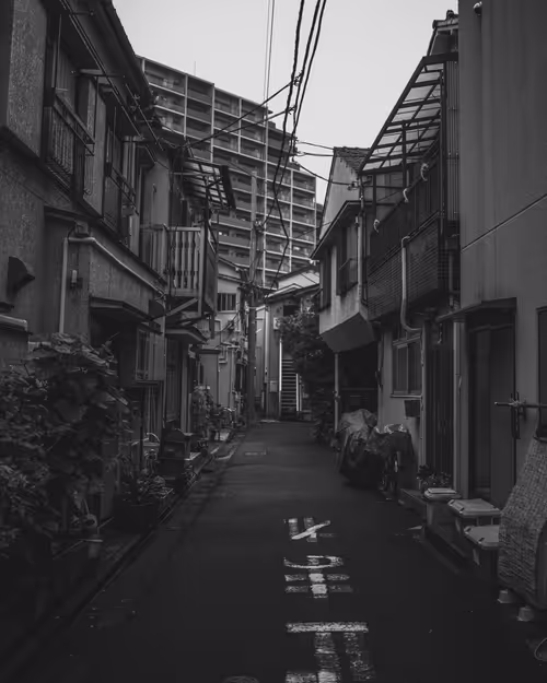 Item #95633765474931350240165697288740384276668175365753332134829565065147327709185 Media