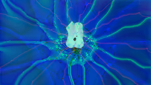 Item #5503311471662219802718148800125460752120054938104782853380324089273633472513 Media