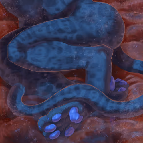 86420353124396239079406600897718028014785749052513186757443061730324317732865