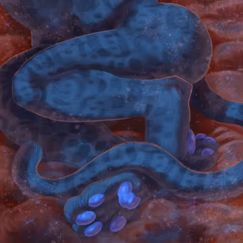 Item #86420353124396239079406600897718028014785749052513186757443061730324317732865 Media