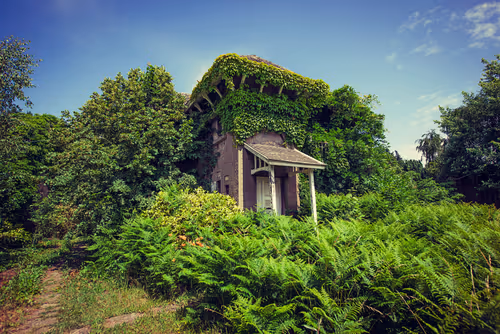 Item #6565810260974012142979447382213260811673901235920150159997466782848165871617 Media