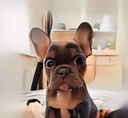 Untitled Collection #93200758