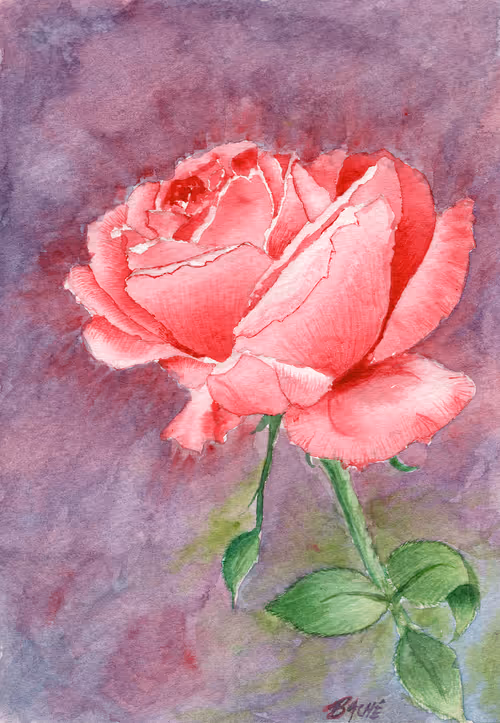 Item #27835689480999328205590275086833126282220751165513012463435520596332695781377 Media