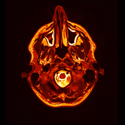 64162533542198579898252916190583583845604629893829087458582975564373087485953