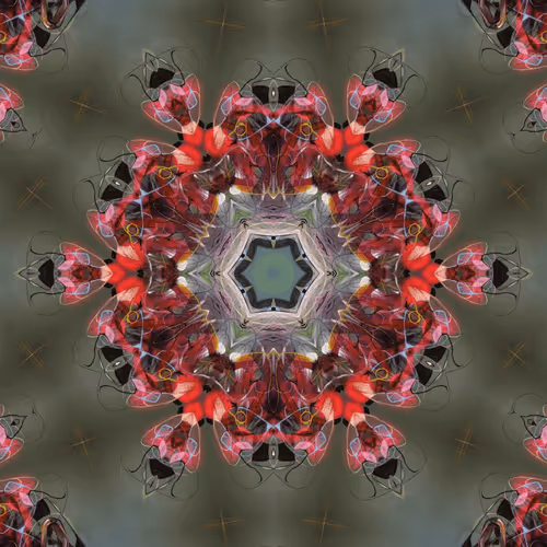 68926149186134342892429898681651910528467495506184414078323304708139953160193