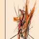 Thomaz Aquino paintings.