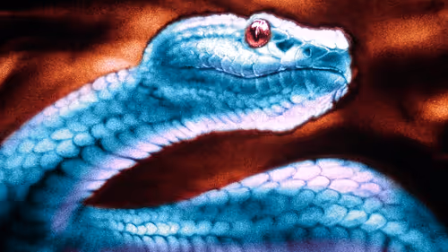 Item #64547877753568412469425259004769380681143227933510953498710243255775972556801 Media