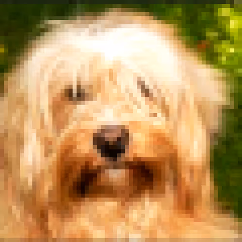 Shivo_Pixelart Collection