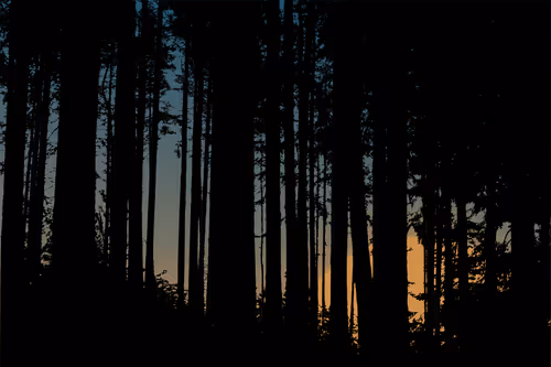 Item #48675370962162840952767984262356909171575887892164890541832012909937938137089 Media