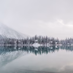 Solitude