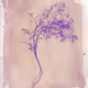 Anthotype