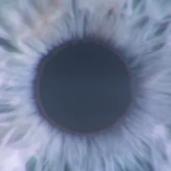 51374509868160355134820606845996444164683722033440710645558628611747190145025