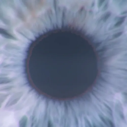 Item #51374509868160355134820606845996444164683722033440710645558628611747190145025 Media