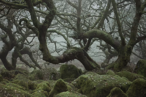 Item #72639390708267126639436568569652760193401123475841185469851730330221050593281 Media