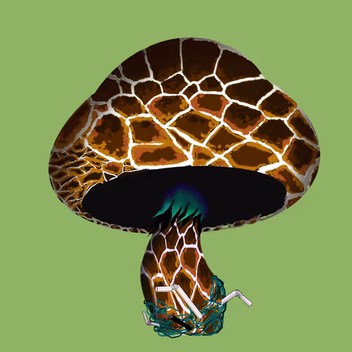 Item #46034849265832991985054005845495595569977159826723230396281256852094655135745 Media