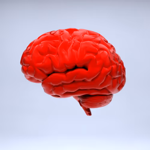 Item #77412820926303725204956055566925211190020908428863033075197849055493793775617 Media