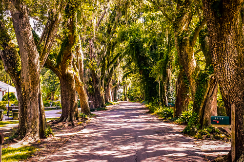 Item #104799982868219271202850359508039288036782186707159500930634758359813055315969 Media