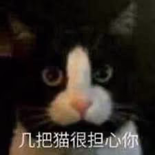 cock cat