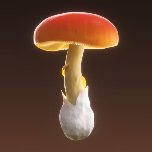 Item #95653877050150474555742155054455970472164202465768371638498213988778253484033 Media