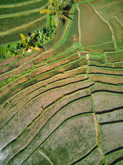 Item #112723081551128241243885468627012393474232760993682910355502264235233200046081 Media