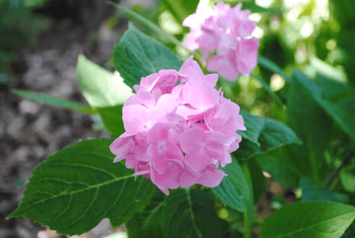 Item #40090172695085413256965535555586358742660933280315103792741764907555532832769 Media