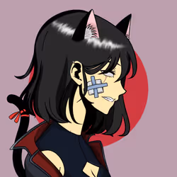 24652754433765043564500578320112485657341911819771655976419813368493496074241