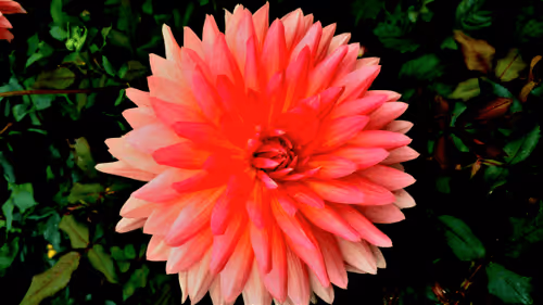 Item #28560886462937506344379963209422319679124542535278029527763573368031725748234 Media