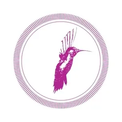 Pink Hummingbird