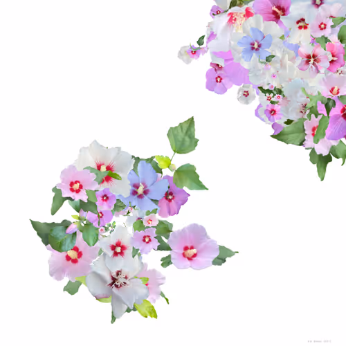 Item #57079712582191126887516961639482112914535436253999342571416194870417572233217 Media