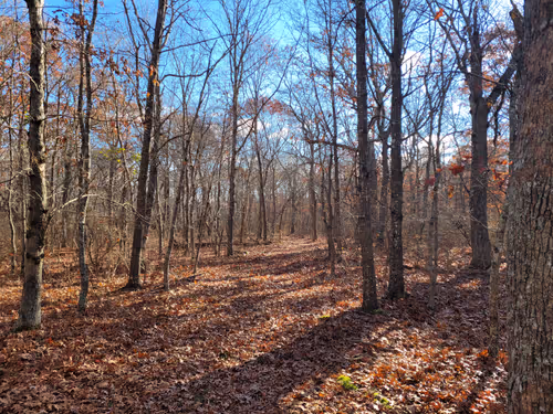 Item #34085441569699423005310991372941828806155687762378495952169943224164104011777 Media