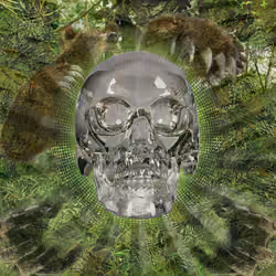 Crystal Skull Death Angel