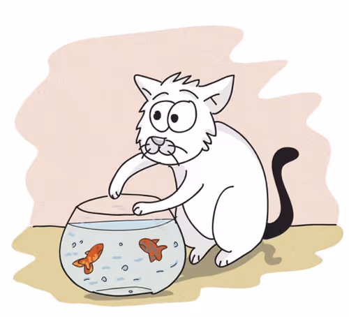 Item #33619492084998953564276581561946260567597765531213334356781889469133675823105 Media