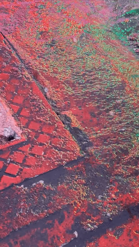 Item #62402000334580523921237358418718502457721815832787791947048085093585969479681 Media