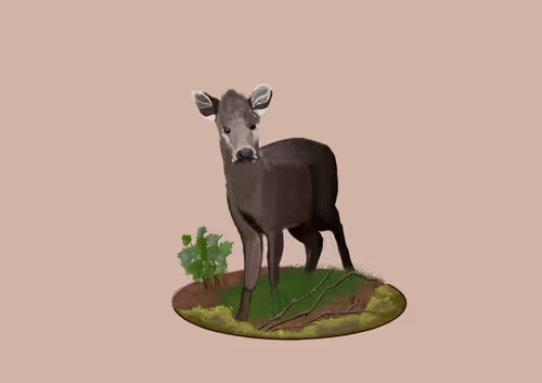 Item #76635623021787309812694420302215559780478835014345692098871688034007820271617 Media