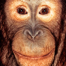 109162157552346088047496633038404394118504199992061596446112929741469617487873