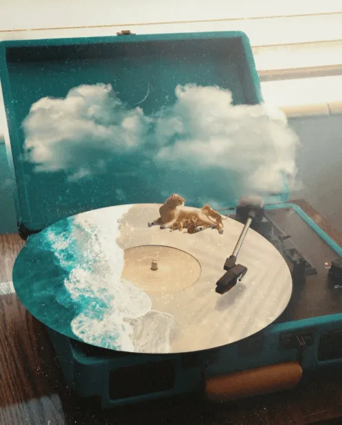 Item #53678774013903990884332597500669161694707589542672619076966672576474555351041 Media